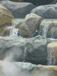 Epic Universe DKC Pikmin 2.jpg