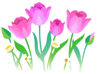 Red parrot tulip flowers icon.png
