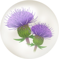 Blue thistle nectar icon.png