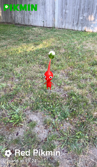 Pikmin Finder Red Pikmin.png