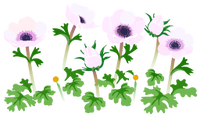 White windflower flowers icon.png
