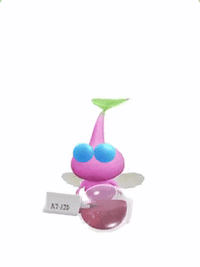 PB Winged Pikmin Makeup.gif