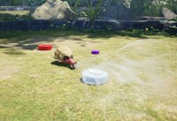 Waddlequaff inhale pellet.jpg