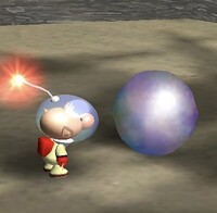 P1 Pearly Clamclamp pearl.jpg