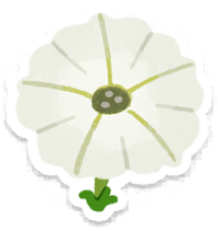 PB Lifelog Petunia White.png