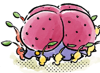 P4 Comic Porquillion.png