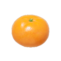 Citrus Lump P4 icon.png