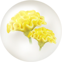 Yellow celosia nectar icon.png