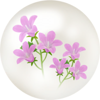Red bellflower nectar icon.png