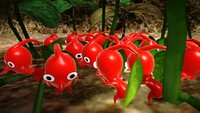 Pikmin Hiding.jpeg