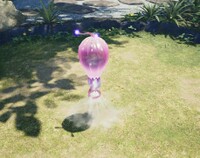 Greater Spotted Jellyfloat inhale.jpg