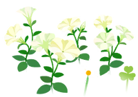White petunia flowers icon.png