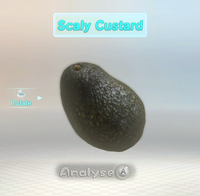 Scaly Custard P3 analysis.png