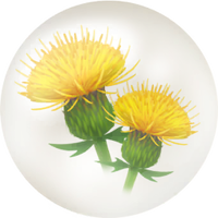 Yellow thistle nectar icon.png