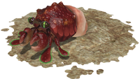 P3 Hermit Crawmad Artwork.png