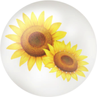 Yellow sunflower nectar icon.png