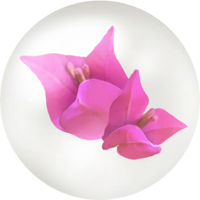 Red bougainvillea nectar icon.png