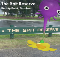 Postcard - Upside-down.png