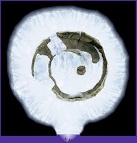 P2CU room uzu1 1 snow.jpg