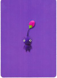 E+ back Purplebud.jpg