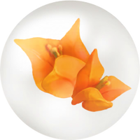 Yellow bougainvillea nectar icon.png