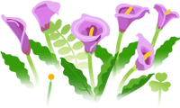 Blue calla lily flowers icon.png