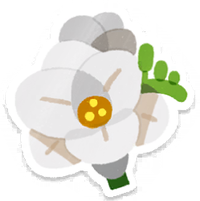 PB Lifelog Freesia White.png