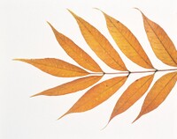 Visualdisk M10 43.jpg