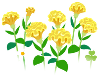 Yellow celosia flowers icon.png