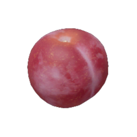 Lesser Mock Bottom P4 icon.png