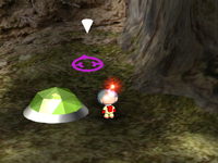 P1 Sagittarius Location.png