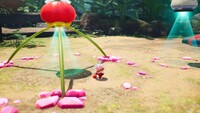 Pikmin 4 pluck.jpg