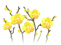 Yellow plum blossom flowers icon.png