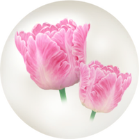 Red parrot tulip nectar icon.png