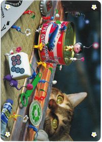 E+ back VioletCandypop.jpg