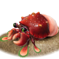 Hermit Crawmad P4 icon.png