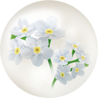White forget-me-not nectar icon.png