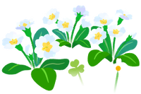 White primrose flowers icon.png