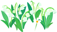 White convallaria flowers icon.png