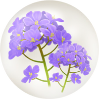Blue canola flower nectar icon.png