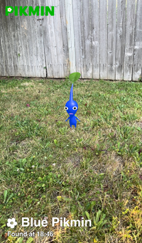 Pikmin Finder Blue Pikmin.png