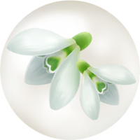 White snowdrop nectar icon.png