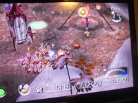 Bulbmin carrying a Pellet.jpeg