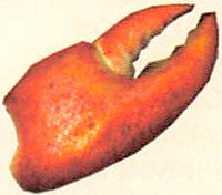 P2 Artwork Mysterious Remains.png