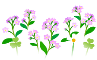 Red forget-me-not flowers icon.png