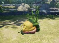 Sovereign Bulblax corpse.jpg