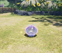 Lesser Spotted Jellyfloat shocked.jpg