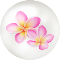 Red frangipani nectar icon.png