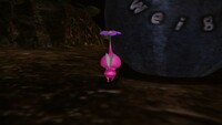 Winged Pikmin ground 1.jpg