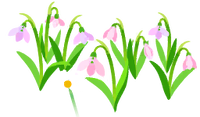 Red snowdrop flowers icon.png